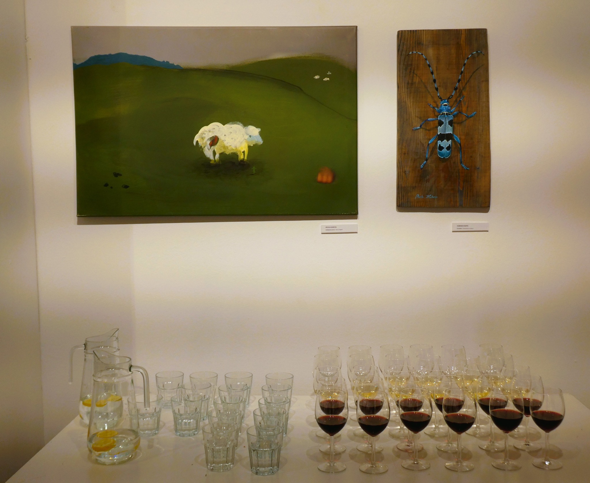 491296461_10238706273382356_1763963579002039807_n